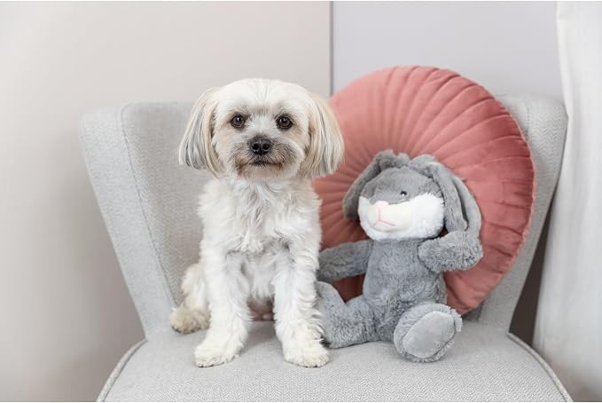 TRIXIE Be Eco Evan The Bunny Plush Dog Toy for All Dogs, 10" Fun and Cuddly No Sound Dog Toy, 98% Recycle Material