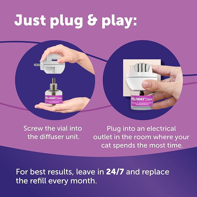 FELIWAY Classic 30 Day Cat Calming Plug In Pheromone Diffuser Starter Kit, 48ml - Helps Reduce Common Signs of Stress in Cats & Kittens, Enhanced Calming