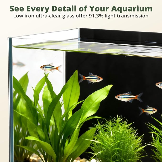2.5 Gallon Small Fish Tank, Desktop Nano Aquarium with Filter | Ultra-Clear Glass Starter Kit with Lid, LED Light, Gravel and Rocks, Perfect for Betta, Shrimp and Live Plants