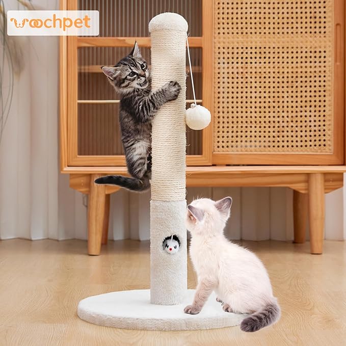 Woochpet Cat Scratching Post for Kitten, 23in Tall Cute Small Cat Scratching Post with Premium Sisal Rope and Dangling Cat Toy Balls (White)