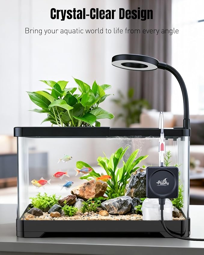 Pawfly 2 Gallon Fish Tank, Ultra Clear Aquarium Starter Kit with 6 W LED Aquarium Light, Mini Air Pump, Filter, Siphon Vacuum Water Changer & Basket, Small Fish Tank for Betta