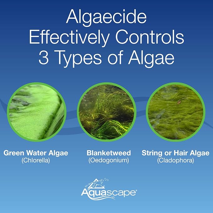 Aquascape Algaecide for Pond, Waterfall, and Water Features, 32-Ounce, 96024
