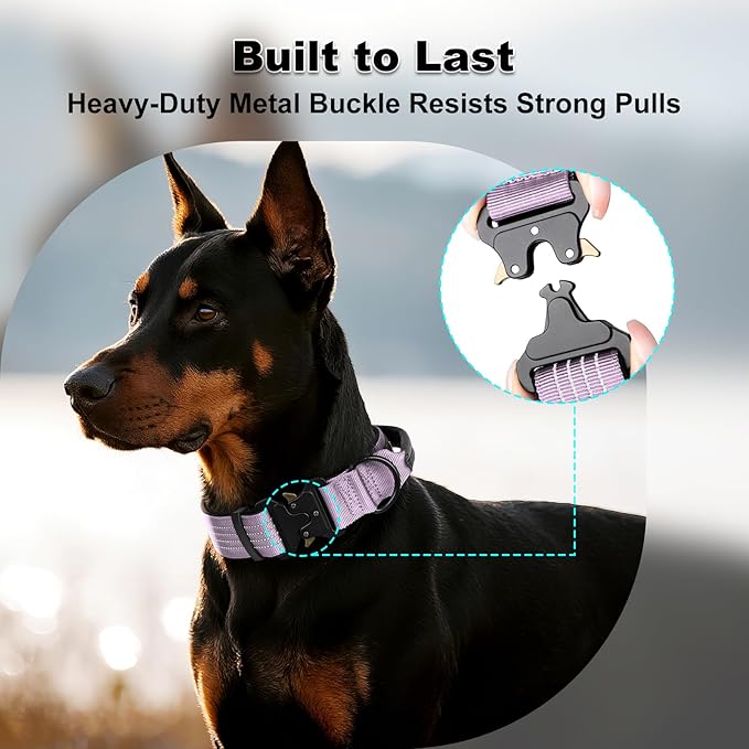 Plutus Pet Tactical Dog Collar with Tracker Pocket for AirTag, Adjustable Reflective Nylon Collar, Metal Buckle, Leather-Wrapped Handle, Soft Padded for Medium Large Dogs (Purple, L)