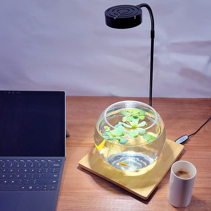 AREPK Aquarium Light Full Spectrum LED, for Under 3 Gallon Fish Tank, Light with Timer Auto On/Off, Betta Fish Tank,Indoor Plant Growth, Potted Plants, Succulent, Miniature Gardening Landscape (5)