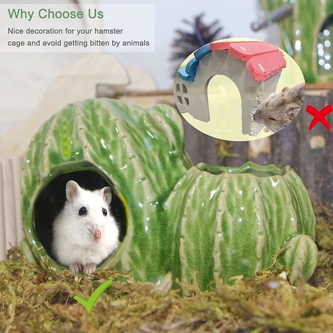 Ceramic Hamster Hideout, Dwarf Hamster House with Double Doors Syrian Hamster Hut Hideout Habitat Decor, Anti Bite Hideaway House Cave for Mice Gerbil (Large, Green)