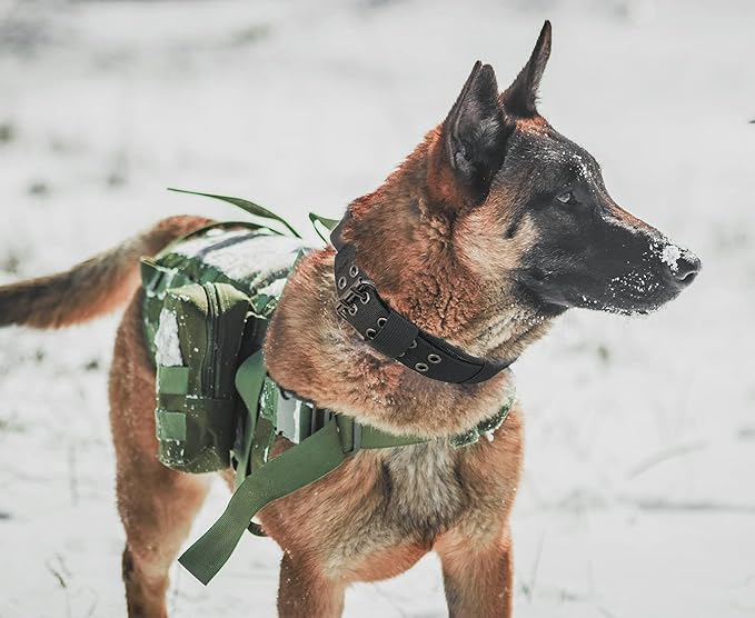 Tactical Dog Collar with Handle - Military Adjustable Dog Training Collar Soft Nylon and Heavy Duty Metal Buckle for Medium Large Dogs - with Patch (Black with Patch, X-Large)