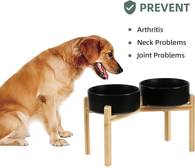 Havniva Ceramic Raised Double Bowls Set with Stand, Food & Water Bowls for Large Breed Dogs, Weighted Dog Dishes, Pet Bowl(8.2'',60OZ, Black)