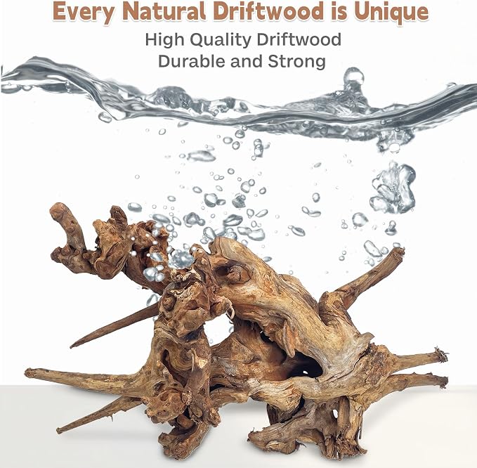 PINVNBY Natural Large Driftwood for Aquarium Fish Tank Decorations, Driftwood for Reptile Tank Bearded Dragon Tank Accessories Terrarium Decor (10 to 14 inches / 2 Pack)