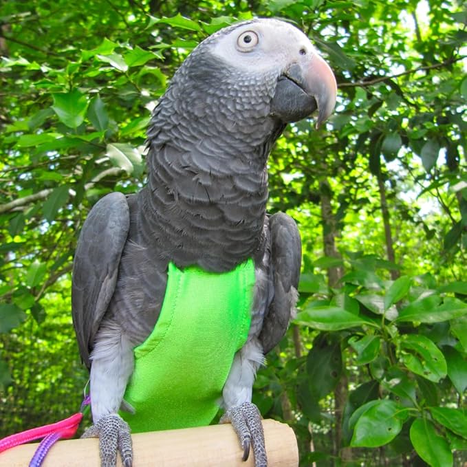 Avian Fashions FeatherWear FlightSuit X-Large(12) Bird Diaper in Lime Green