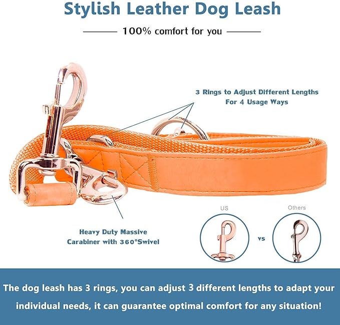 Soft Leather Dog Collar and Leash (6.6') Set - Stylish Rose Gold Heavy Duty Metal Buckle, 4 Adjustable Lengths Leash for Small Medium Large Dogs - Comfortable & Easy to Clean Orange XS(8"-12")