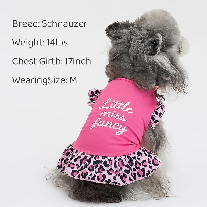 XPUDAC 4 Pack Cute Dog Dress for Small Dog, Floral Puppy Dress Sweet Girl Pet Skirt Outfits Colorful for Birthday Holiday Spring Summer Pet Clothes for Girls, S