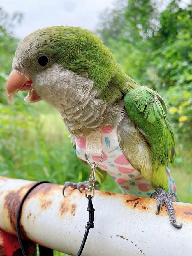 Bird Diaper Harness Flight Suit Clothes, Parrot Flight Suit with Leash, Bird Flying Clothes with Rope and Handle for Outdoor Activities Training (Pink with Leash,Small)