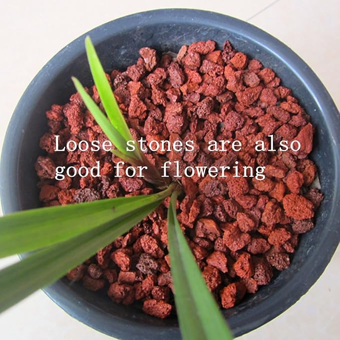 About 120 PackAquarium Red Lava Rock Fish Tank Volcanic Pumice Stones for Shrimp Betta(1''-1.2'')