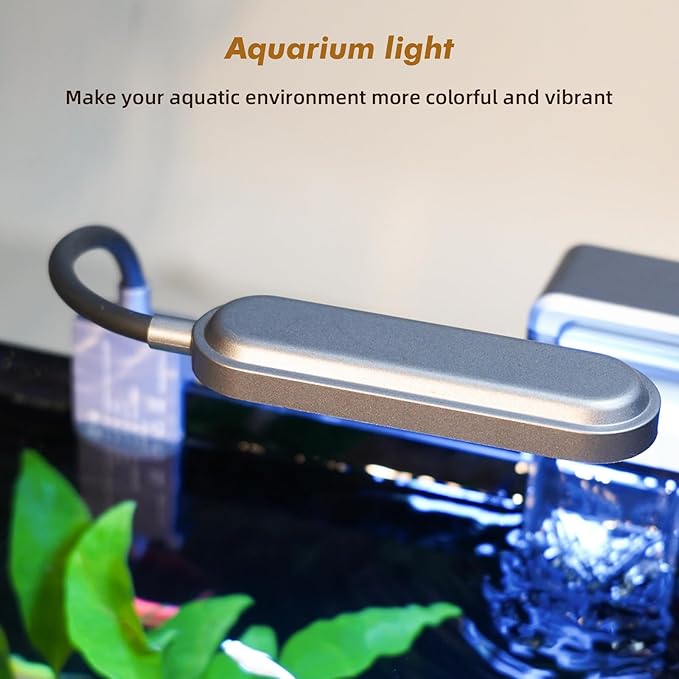 Rise Torrent Glass Fish Tank, 1.78 Gallon Betta Fish Tank Aquarium Starter Kit with Filter and Light, Small Desktop Aquarium Kit for Betta, Goldfish, Small Fish or shrimg