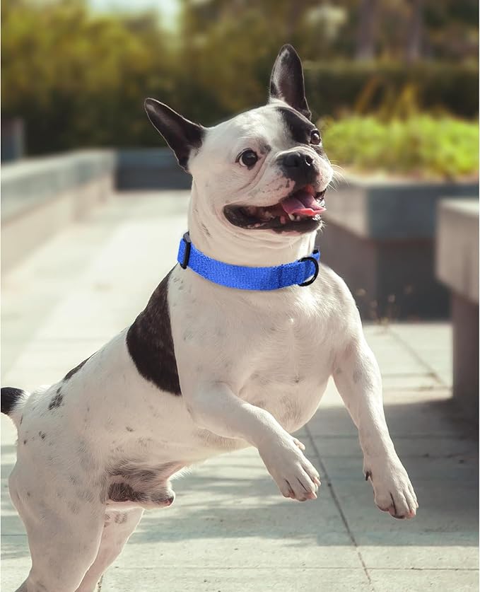 Mile High Life Soft & Strong Poly Cotton Adjustable Dog Collar with Quick Release Buckle for Small to Large Dogs(Blue, X-Small Neck 9"-13")