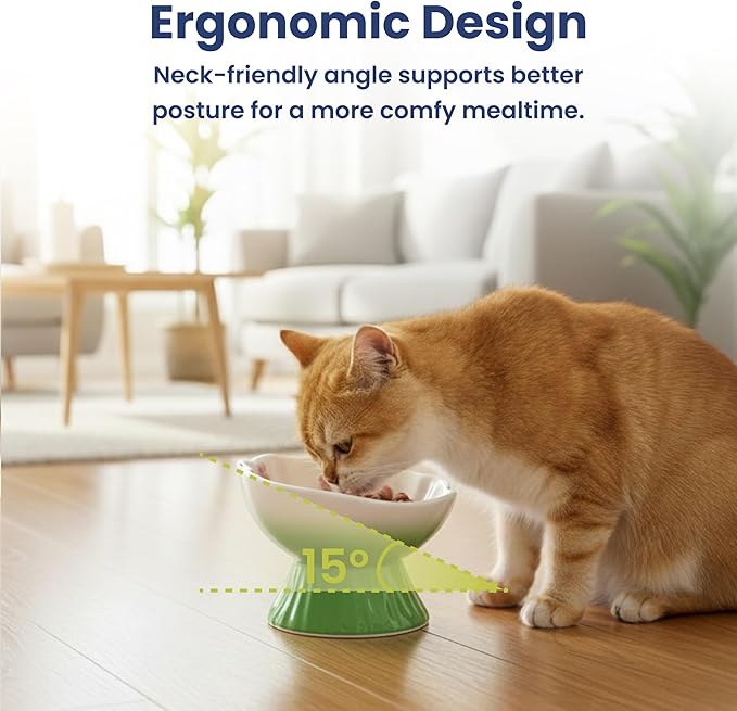 PawsPik Strawberry Blooms Elevated Ceramic Cat Bowl – Raised Cat Food Bowl with 15° Tilt, Whisker-Friendly Pet Feeding Bowl, Anti-Choking Dish, Dishwasher Safe (Green)