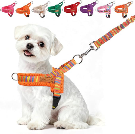 BEAUTYZOO Dog Harness for Small Dogs,No Pull Dog Harness and Leash Set,Soft Breathable Escape Proof Puppy Vest Harnessss with Handle,Lightweight Quick Fit Harness for Girl Boy Dogs Training Walking,XS