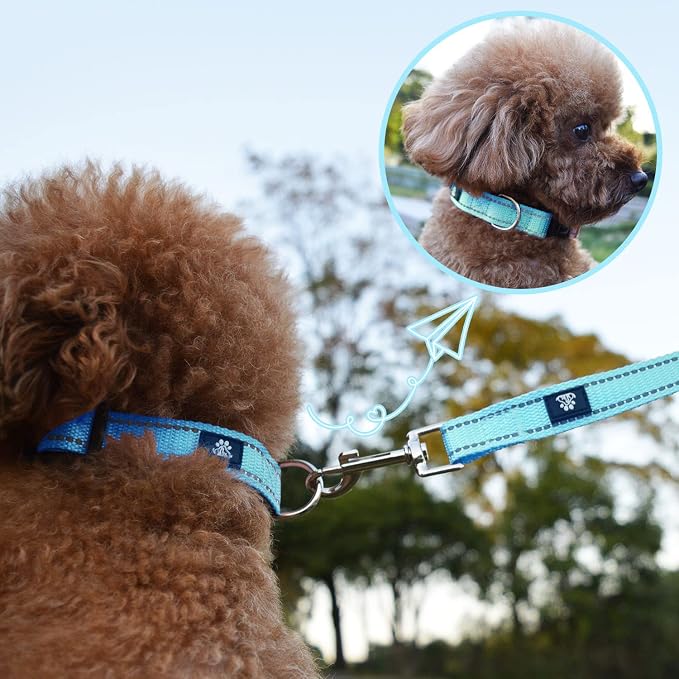 NESTROAD Dog Collar and Leash Set,Reflective Dog Collars with Quick Release Buckle,Adjustable Nylon Pet Collar for Small Medium Large Dogs(Large,Blue)