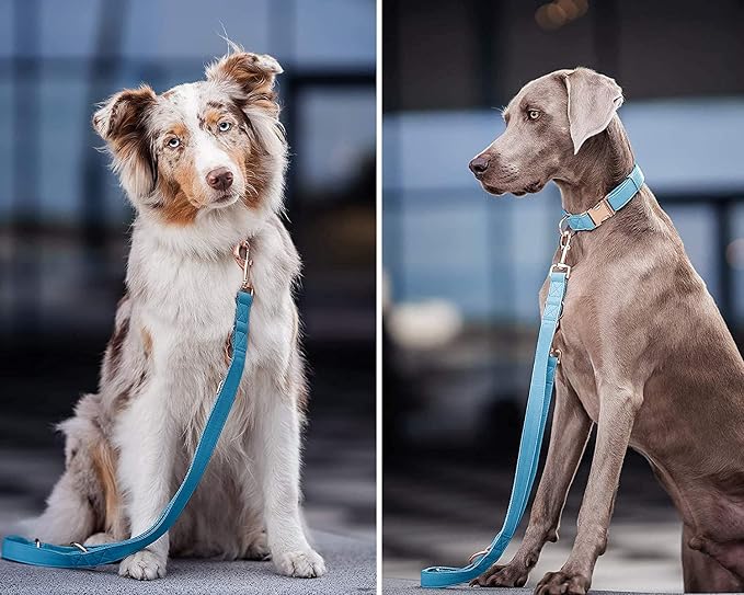 Soft Leather Dog Collar and Leash (6.6') Set - Stylish Rose Gold Heavy Duty Metal Buckle, 4 Adjustable Lengths Leash for Small Medium Large Dogs - Comfortable & Easy to Clean Light Blue S(12.2"-16.9")