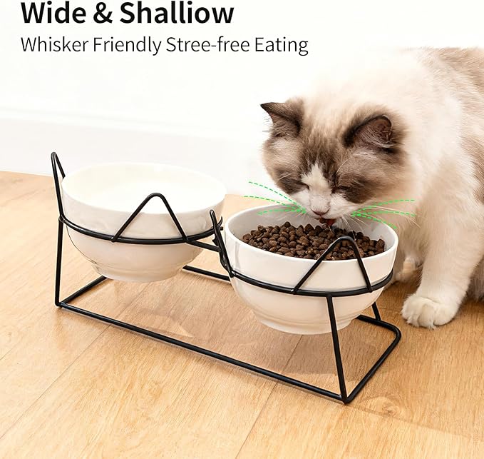 Elevated Cat Food Bowl,Ceramic Raised Water Bowl for Indoor Cats, 15°Tilted Metal Stand Anti Vomiting and Protect Spines,Whisker Fatigue Feeding Dishes,Non-slip and Dishwasher Safe