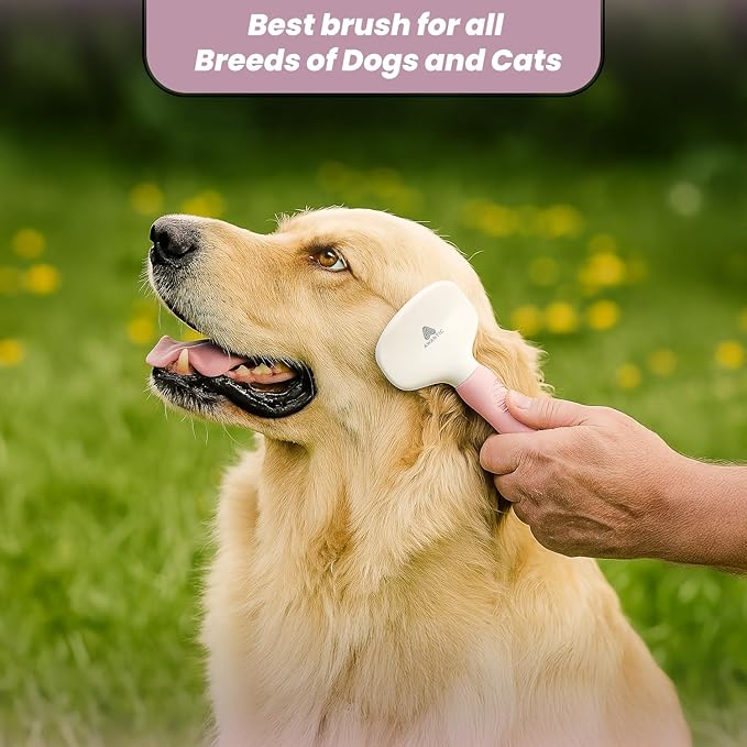 Small Slicker Brush for Grooming - Slicker Brush for Dogs and Cats can act as Deshedding Pet Tool for Healthy Coat Maintenance and Suitable for Short and long Haired Dogs