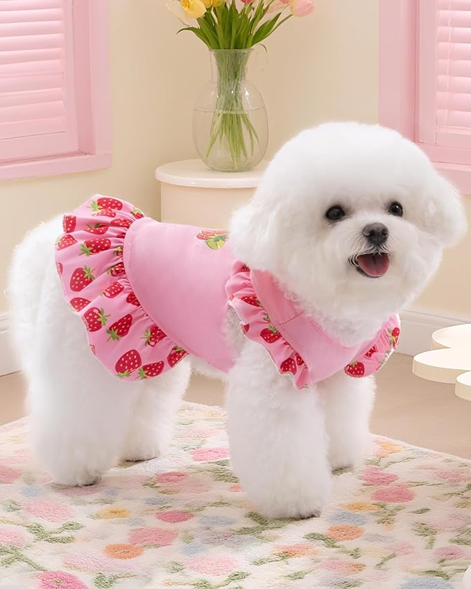 XPUDAC 4 Pack Dog Dresses Cute Printed Puppy Clothes for Small Dogs Girl Chihuahua Doggie Outfits Tank Top Vest Dresses Cat Apparel, Large(Chest-21)