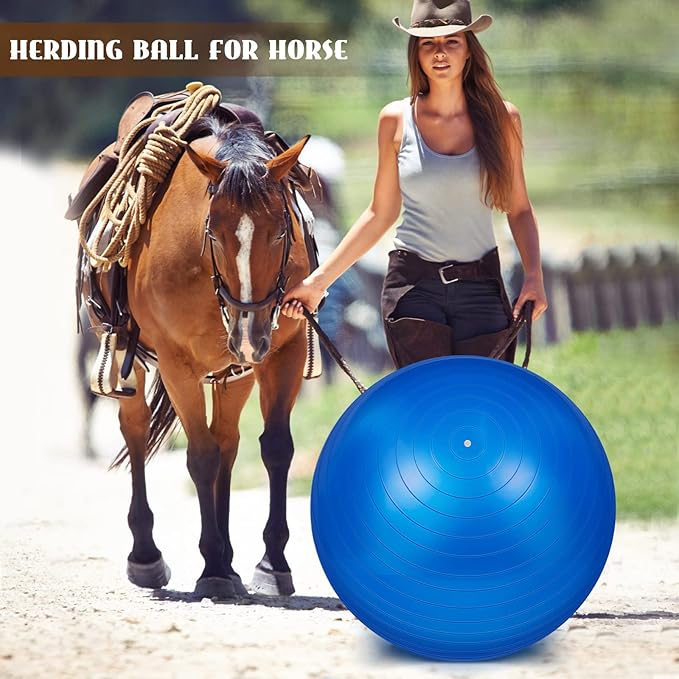 Sotiff 2 Pcs 40 Inch Horse Ball for Play Large Horse Big Equine Herding Anti Burst Dog Ball Soccer Giant, Pump Included(40 Inch,Blue and Red)