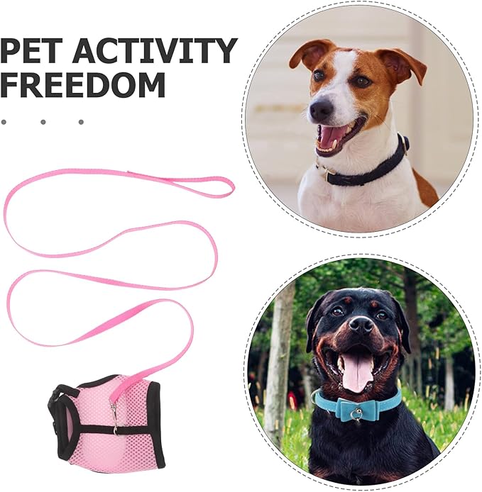 YARNOW 2pcs Adjustable Small Pet Harness Leash Set for Rabbits and Guinea Pigs – Breathable Mesh Vest, Medium Size, Outdoor Walking and Training Safety Gear