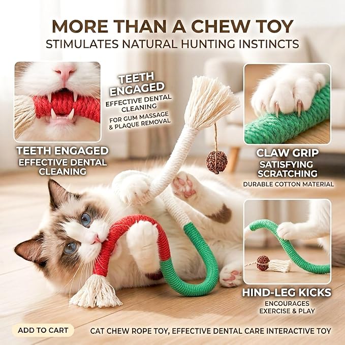 Cat Toys, 3PCS Catnip Toy for Indoor Kitten Toys Cat Chew Stick for Dental Cleaning Teeth Cat Silvervine Matatabi Rope Treat Kitty Feather Snack for for Kick Molar Scratch Self Play