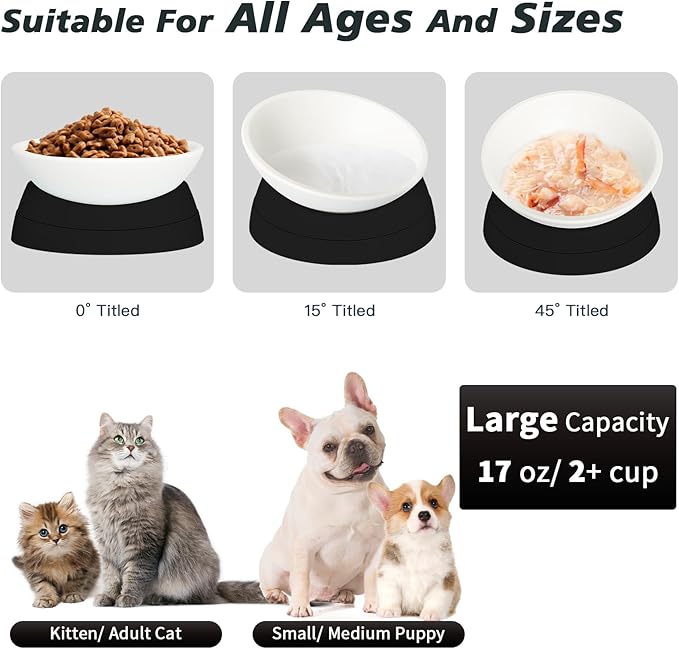 Elevated Cat Bowl, Adjustable Raised Slanted Food Bowl for Cats and Small Dogs, Wide Shallow PP Dish with TPR Non Slip Base, Whisker Friendly, 17 oz