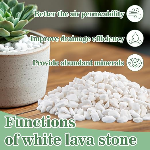 Sukh White Pebbles for Cactus - 420G Polished River Stones | 1/5 Inch Cactus Gravel Pebbles, Natural Decorative Small River Rocks for Gardening, Vases, Landscaping and Fish Tanks