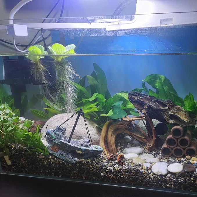AWXZOM Aquarium Shipwreck Decoration + Little Diver Floating Fish Tank Decoration, Fish Tank Ornaments