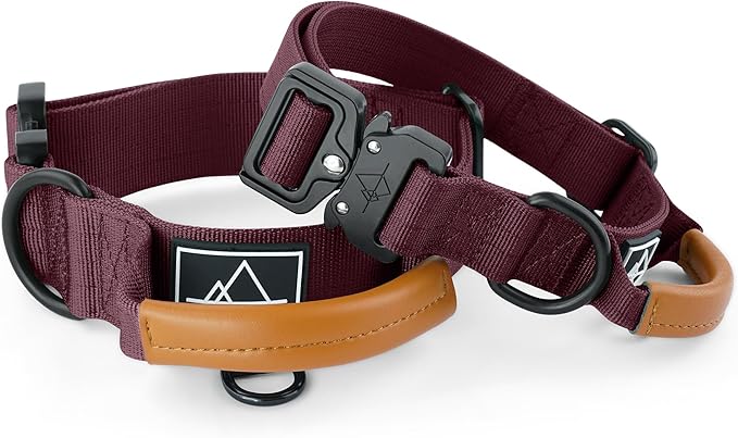 Made to ROAM Premium Explorer Control Collar - Adjustable Heavy Duty Nylon Dog Collar with Quick-Release Metal Buckle and Handle (Vermont Weekends, Control Size 3)