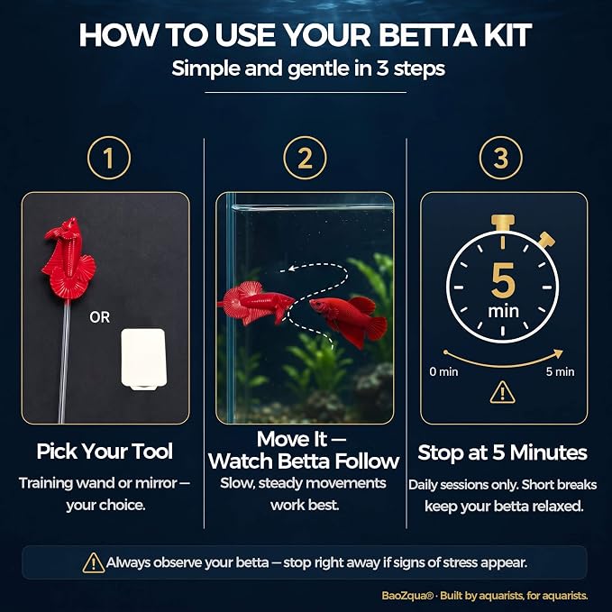 Betta Exercise Kit, Betta Fish Toys, 2 Training Wands and Mirror | Shatterproof acrylic mirror, interactive flaring and enrichment toys, fits any tank or bowl, gift set for betta lovers
