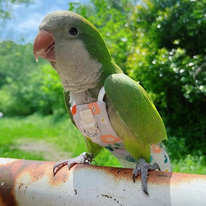 Snap-Closure Parrot Diaper Flight Suit for Cockatiels, Lovebirds & Medium Birds Cotton Washable Escape-Proof Harness with Leash Set(Golden Sun Model+1 Meter Rope)