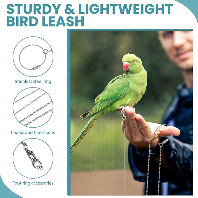 LELE LIFE 2 Pack 39in Bird Leash with 5 Sizes Ankle Rings, Stainless Steel Anti-Bite Parrot Bird Harness Flying Toy Training Chain Leg Rope Outdoor Parrot Alloy Foot Ring