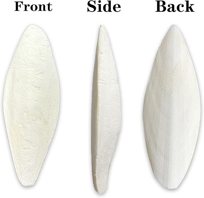 Bird Cuttlebone for Parakeets Cuttlebone for Birds - Natural Cuttlefish Bone Bulk Chew Toy Bird Bites Calcium Stone for Canaries Tortoises,Snails,Reptiles,Parrots,Cockatiel