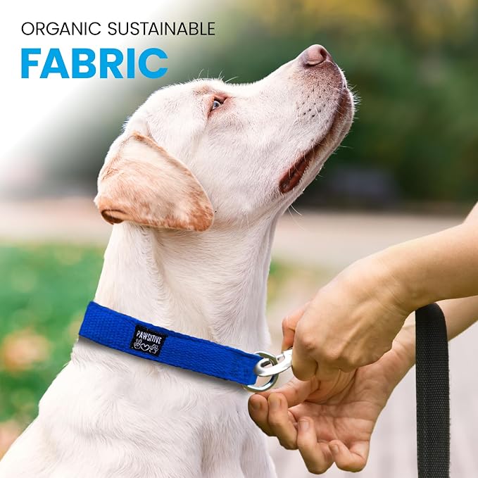Hypoallergenic Dog Collar - Great for Sensitive Skin, Soft Collar for Dogs, Soft Organic & Earth Friendly (X-Large, Grey)