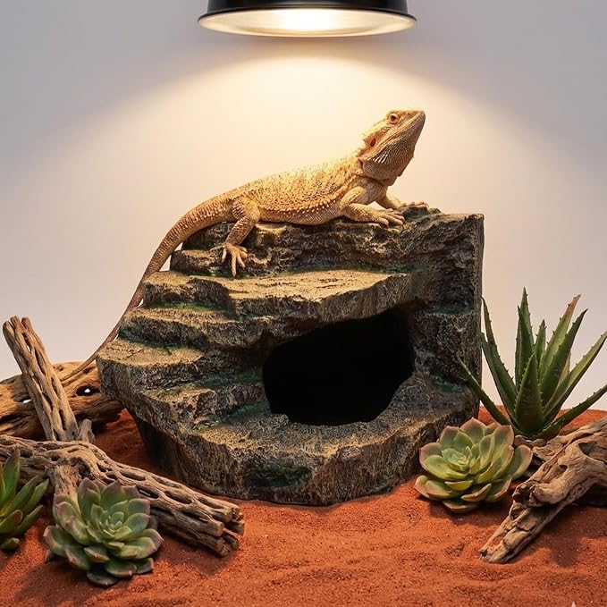 Beared Dragon Tank Accessories for Adults, Snake Hide, Reptile Tank Accessories, Perfect Natural Large Reptile Hide, Professional Turtle Basking Platform (E-Large)