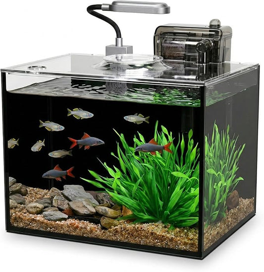 2.5 Gallon Betta Fish Tank, Small Aquarium Kit,Glass Small Fish Tank,Betta Fish Tank with a lid and Light and Filter, Small Transparent Glass Fish Tank with Light and Filter (Black Glass Background)