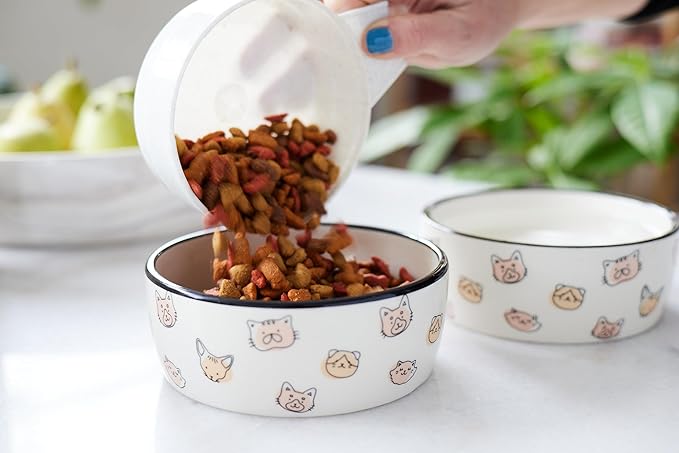 Pearhead Ceramic Cat Bowl, Holds 12 oz, Whisker-Friendly Pet Dish for Food and Water, Cute Cat Face Design