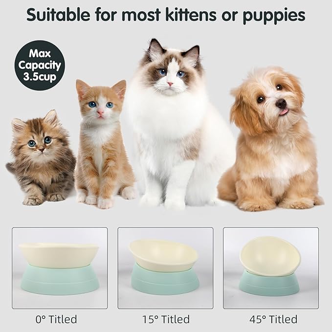 Bulldog Bowl Anti-Slip Dog Cat Dish Detachable Rubber Dog Bowl Pet Sterile Tilted Pet Feeder Slope Base (Green, 3.5 Cup (Medium/Large Dog))