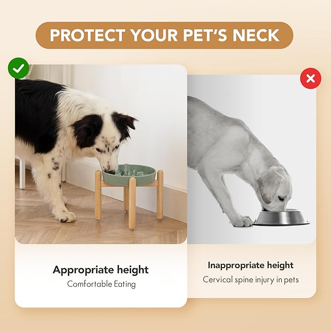 Havniva Ceramic 1.6 Cup Dog Raised Slow Feeder Set, Elevated Bowl with Wooden Stand for Medium and Large Dog, 8.2inch Slow Feeder Dish for Fast Easters, Anti-Gulping(Light Green, Single Bowl+ Stand)