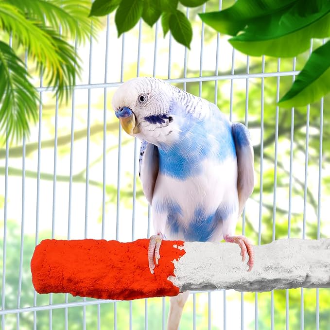 ULTECHNOVO Bird Perch Stand 6.88In Calcium Cuttlebone – High-Calcium Beak Grinding & Claw Trimming – for Parrot Cage for Cockatiel Conure African Grey