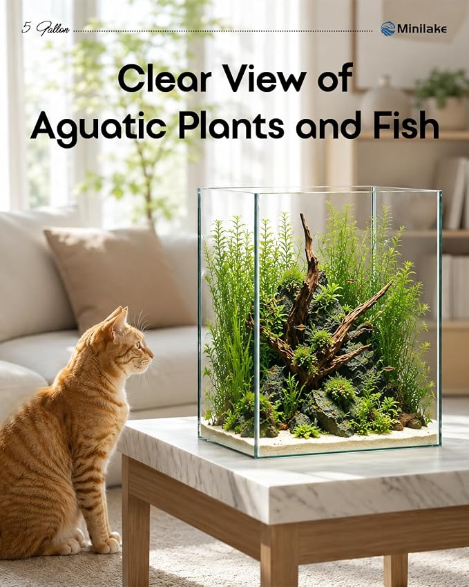 5 Gallon Vertical Rimless Fish Tank, Ultra-Clear Glass Aquarium | Leak-Proof Fish Bowl for Betta Fish, Shrimp, Snails & Planted Aquariums, Easy Setup and Maintenance, Clear
