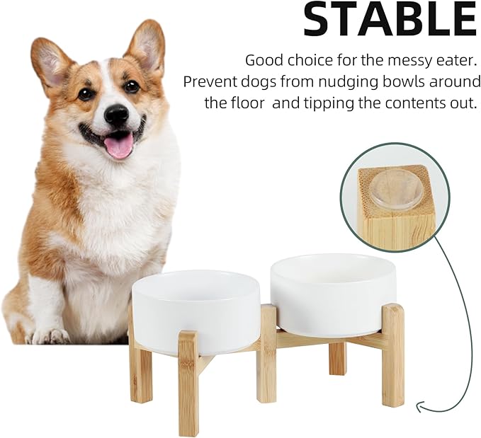 Havniva Ceramic Raised Double Bowls Set with Stand, 2 Heights Elevated, Food & Water Bowls for Small Breed Dogs, Weighted Dog Dishes, Pet Bowl(6.1'',28.7oz, White)