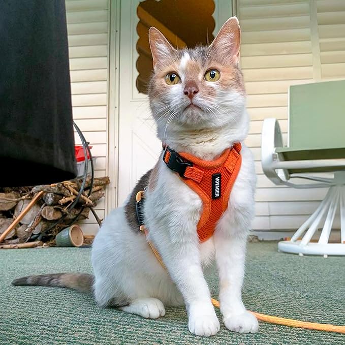 Voyager Escape-Proof Step-in Lock Cat Harness & 5ft Neoprene-Handle Leash Set All-Weather Mesh with Reflective Stitching for Small to Large Cats by Best Pet Supplies, Orange, XXS