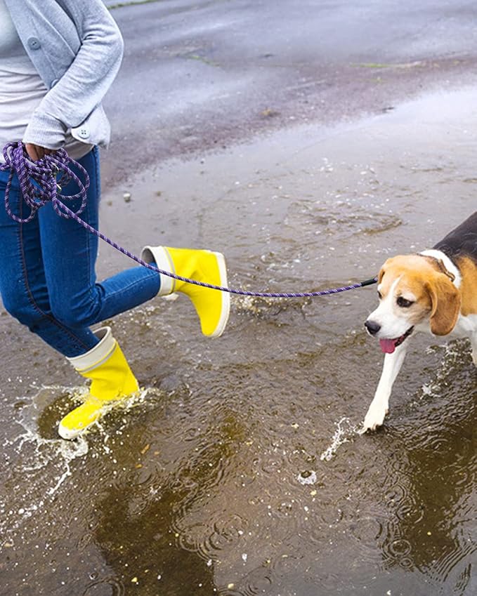 Long Dog Leash for Training - 10FT/16FT/30FT/50FT/100FT, Reflective Check Cord, Heavy Duty for Large, Medium, Small Dogs - Walking, Playing, Camping, Yard