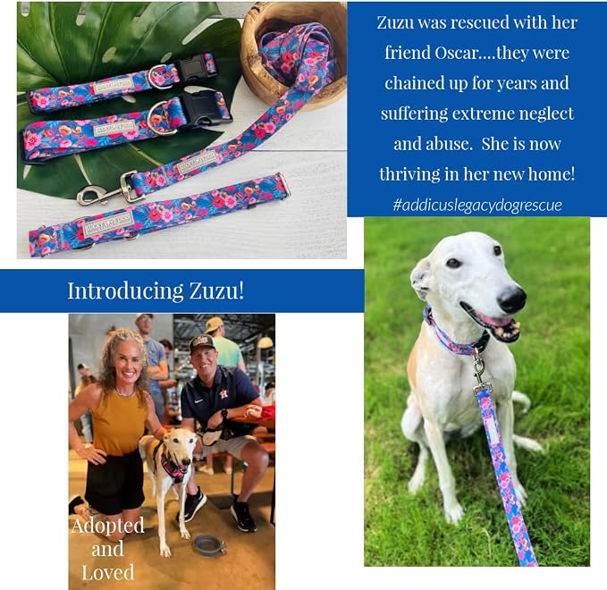 Lucky Love Dog Martingale Dog Collar - Adjustable, No-Slip, Durable, & Soft Webbing Collar for Male and Female Dogs Ideal for Training & Walking - Zuzu, Large