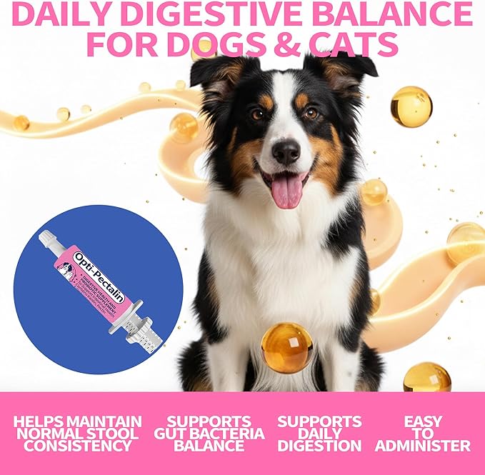 30cc-Anti-Diarrheal Support for Dogs & Cats –Digestive Relief Oral Paste with Kaolin, Pectin & Probiotics – Helps Soothe Upset Stomach & Firm Loose Stool